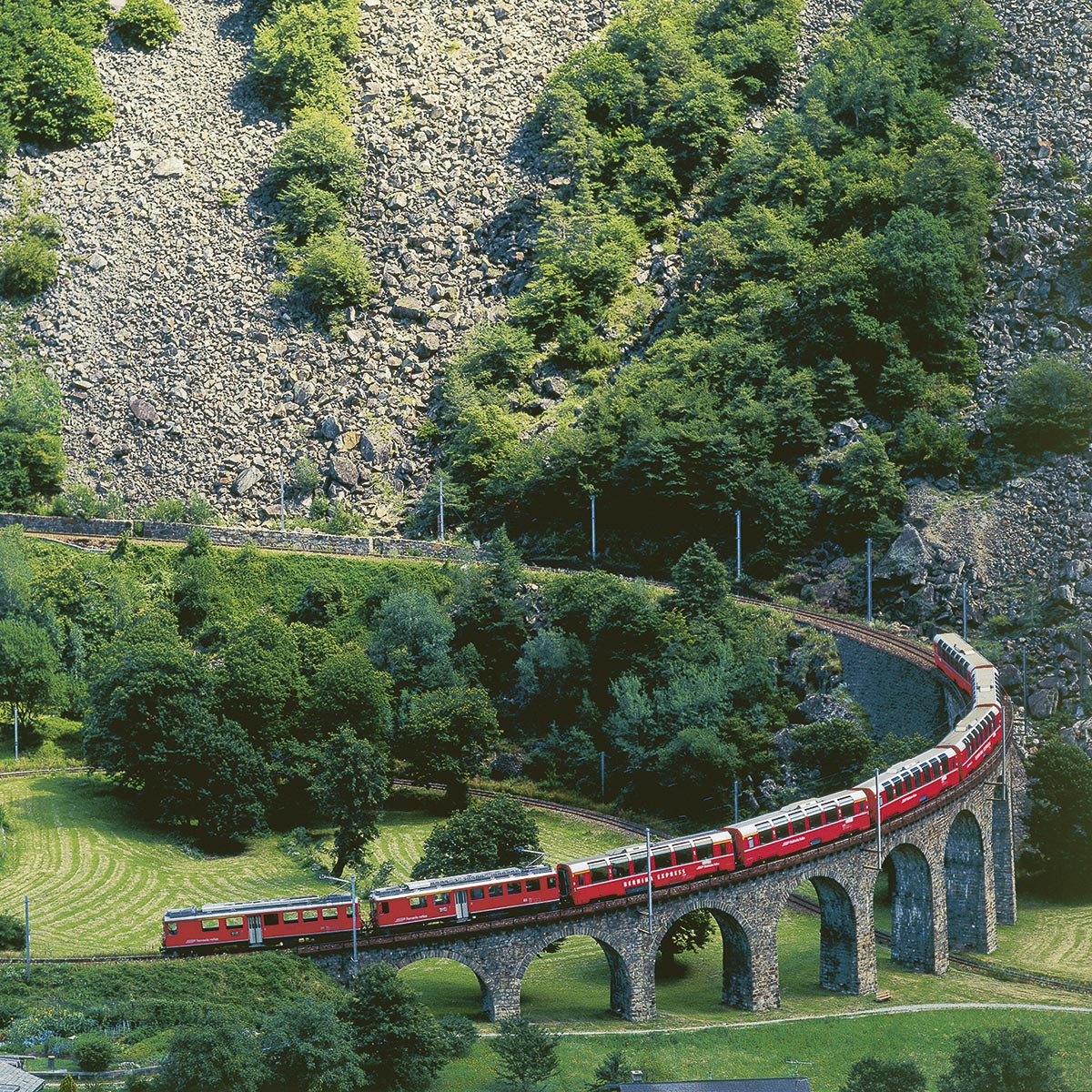 ECTIVE - Erhältlich in der Schweiz bei Vanatics