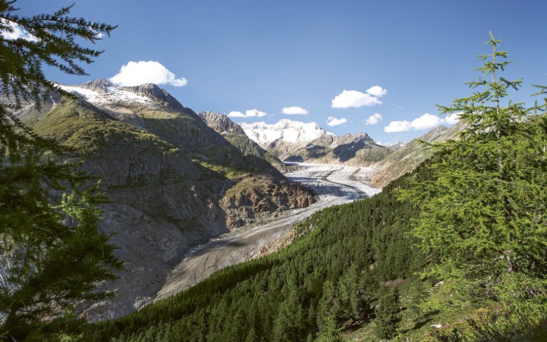 24. Juli: Jugendliche für Gipfeltour aufs Riederhorn gesucht!