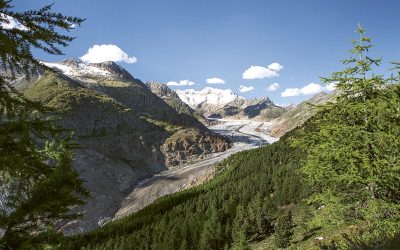 24. Juli: Jugendliche für Gipfeltour aufs Riederhorn gesucht!
