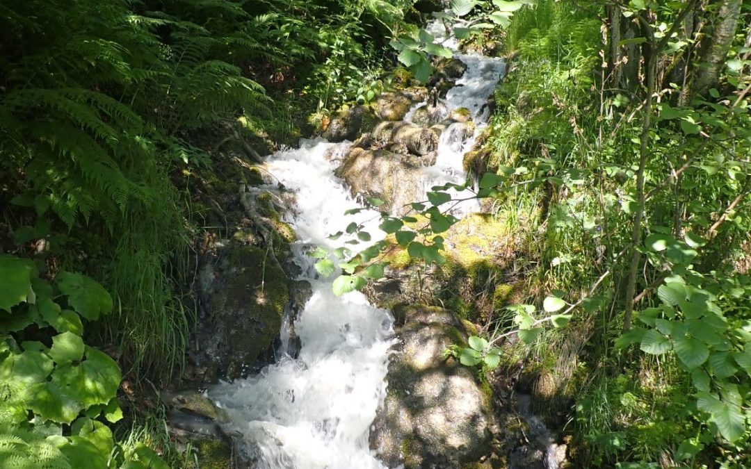 29. August 2026: Quellen-Exkursion auf der Bettmeralp